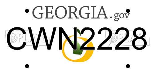 CWN2228 Georgia License Plate