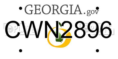 CWN2896 Georgia License Plate