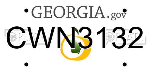 CWN3132 Georgia License Plate