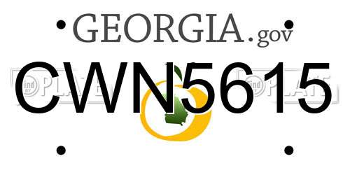CWN5615 Georgia License Plate