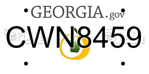 CWN8459 Georgia License Plate