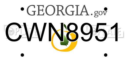 CWN8951 Georgia License Plate