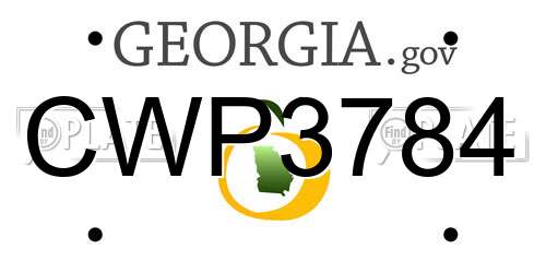 CWP3784 Georgia License Plate