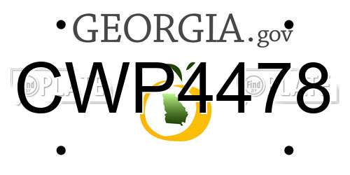 CWP4478 Georgia License Plate