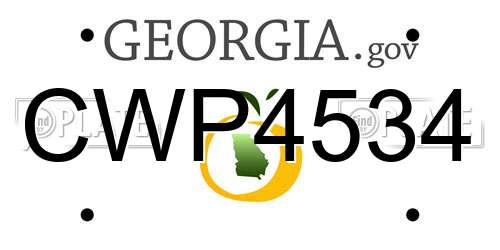CWP4534 Georgia License Plate