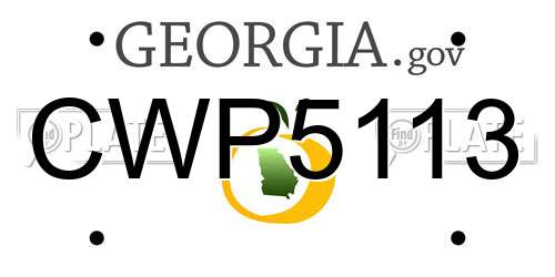 CWP5113 Georgia License Plate