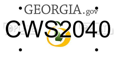 CWS2040 Georgia License Plate