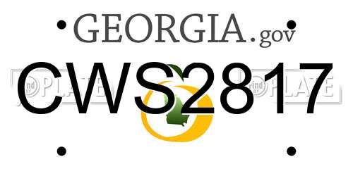 CWS2817 Georgia License Plate