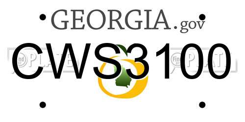 CWS3100 Georgia License Plate