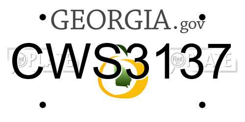CWS3137 Georgia License Plate