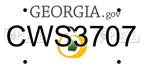 CWS3707 Georgia License Plate