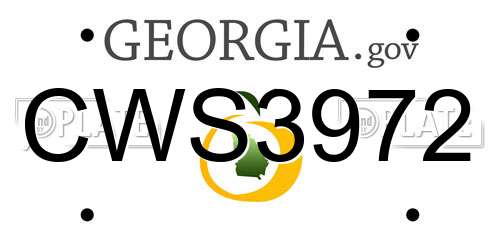 CWS3972 Georgia License Plate