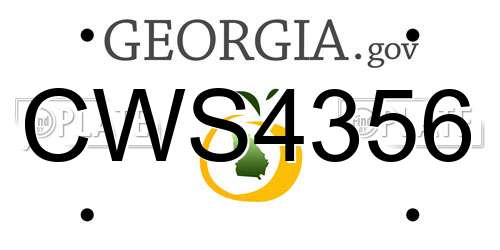 CWS4356 Georgia License Plate