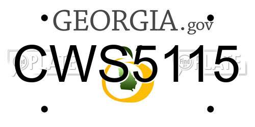 CWS5115 Georgia License Plate