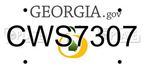CWS7307 Georgia License Plate