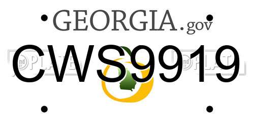 CWS9919 Georgia License Plate