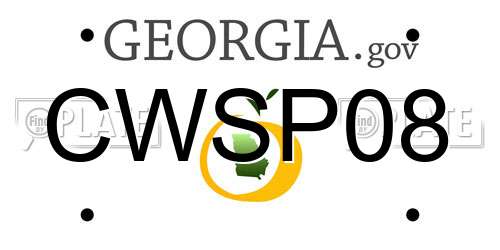 CWSP08 Georgia License Plate
