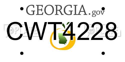 CWT4228 Georgia License Plate