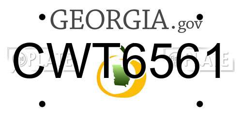CWT6561 Georgia License Plate