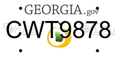 CWT9878 Georgia License Plate