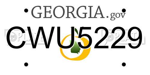 CWU5229 Georgia License Plate
