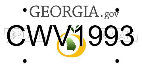 CWV1993 Georgia License Plate
