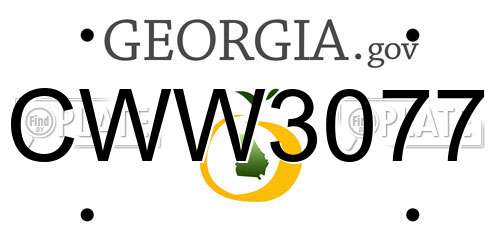 CWW3077 Georgia License Plate