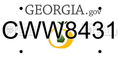 CWW8431 Georgia License Plate