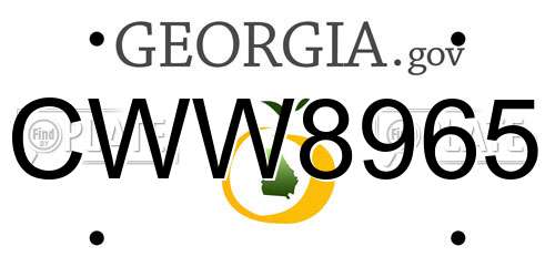 CWW8965 Georgia License Plate