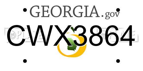 CWX3864 Georgia License Plate
