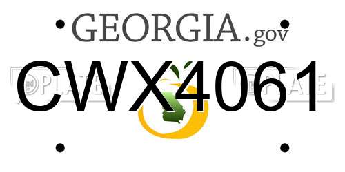 CWX4061 Georgia License Plate