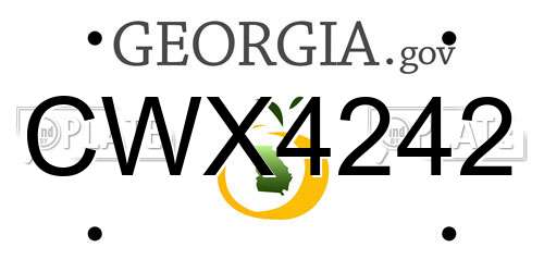 CWX4242 Georgia License Plate