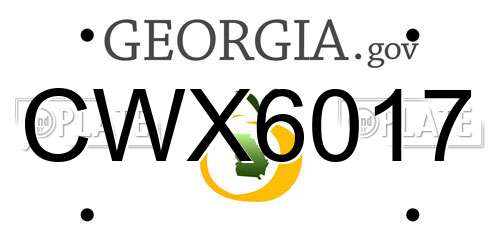 CWX6017 Georgia License Plate