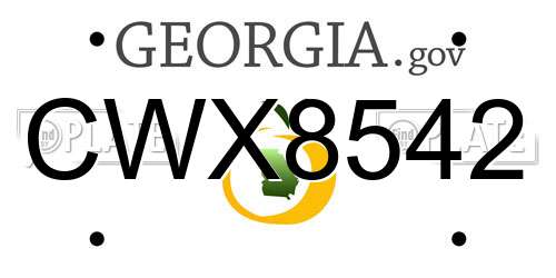 CWX8542 Georgia License Plate