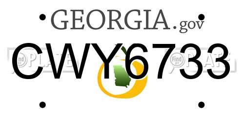 CWY6733 Georgia License Plate