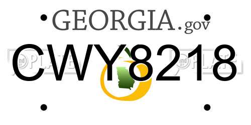 CWY8218 Georgia License Plate