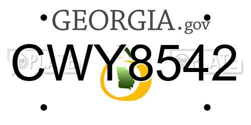 CWY8542 Georgia License Plate