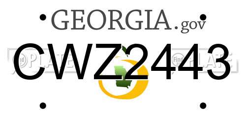 CWZ2443 Georgia License Plate