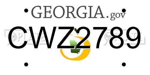 CWZ2789 Georgia License Plate