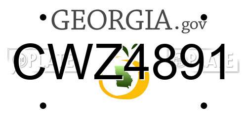 CWZ4891 Georgia License Plate