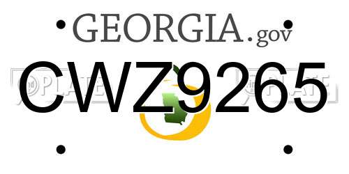 CWZ9265 Georgia License Plate