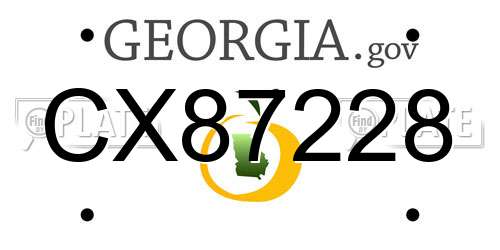 CX87228 Georgia License Plate
