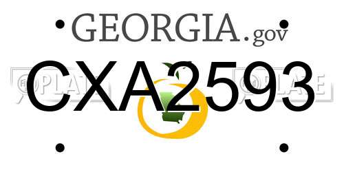 CXA2593 Georgia License Plate