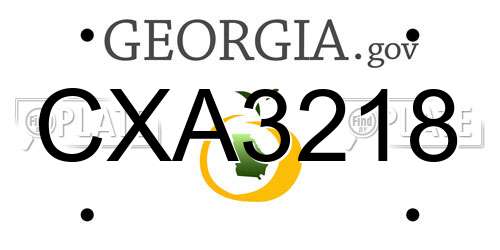 CXA3218 Georgia License Plate