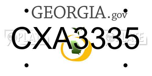 CXA3335 Georgia License Plate