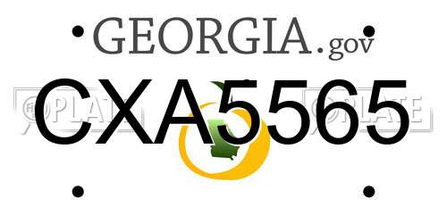 CXA5565 Georgia License Plate