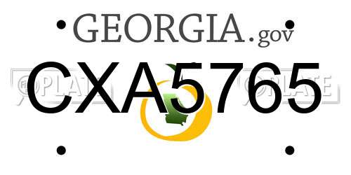 CXA5765 Georgia License Plate