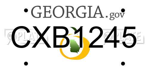 CXB1245 Georgia License Plate