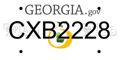 CXB2228 Georgia License Plate