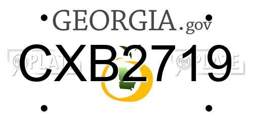 CXB2719 Georgia License Plate